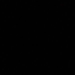 Meet your Posher, Lisandra